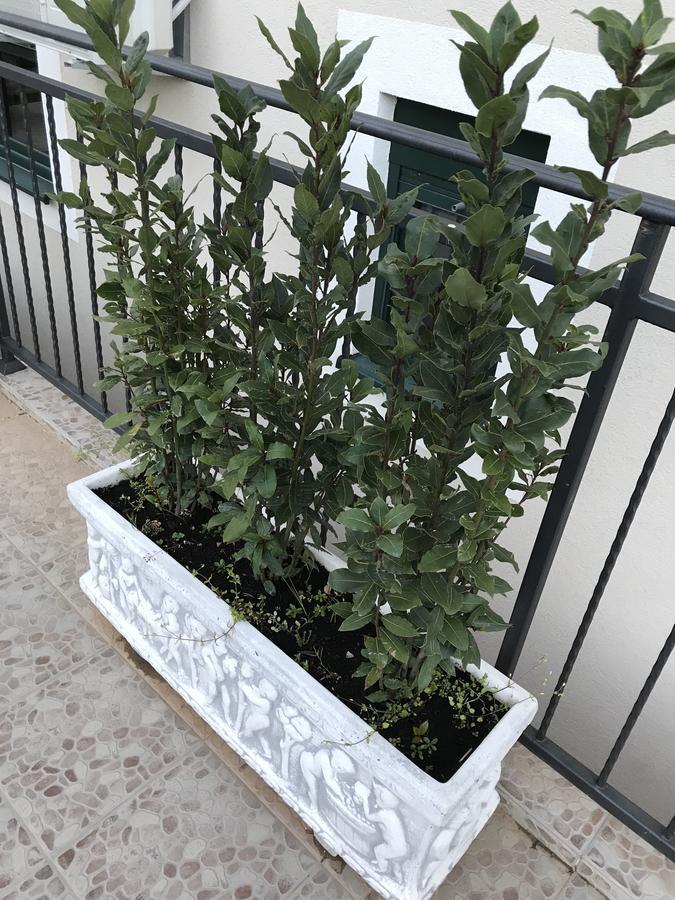 Luxury Apartment Djurasevichi Tivat Ngoại thất bức ảnh